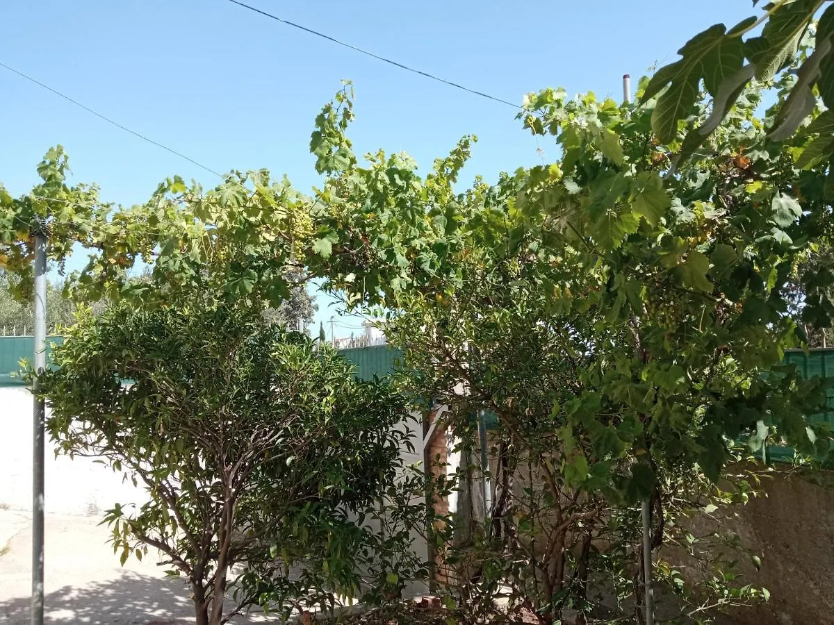 Rum i privatbostad Sunset Viewhouse Lägenhet Dhërmi Albanien